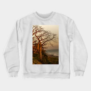 ali perfect tree Crewneck Sweatshirt